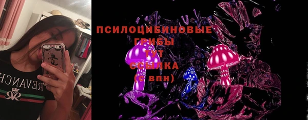 ECSTASY Богданович