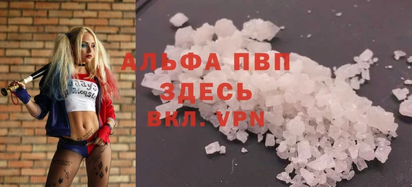 индика Богородск