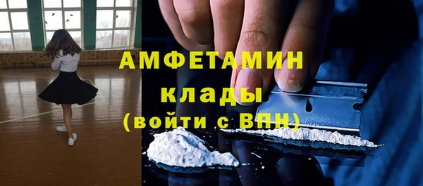 ECSTASY Богданович