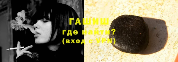 индика Богородск