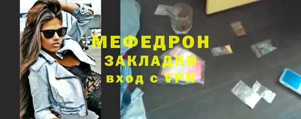 индика Богородск