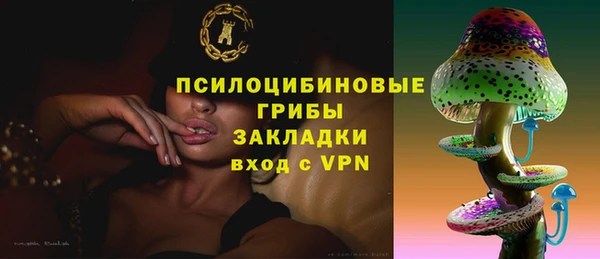индика Богородск