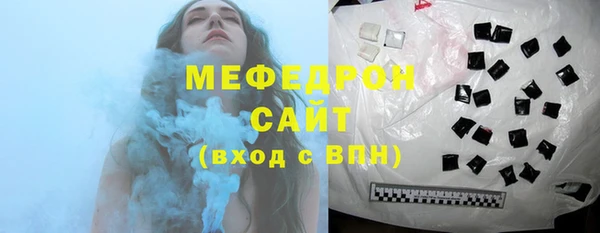 индика Богородск