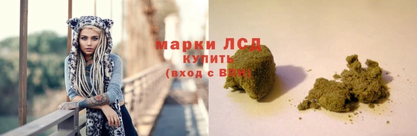 ECSTASY Богданович