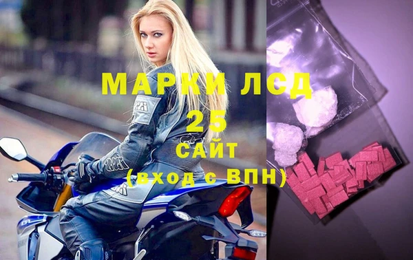 ECSTASY Богданович