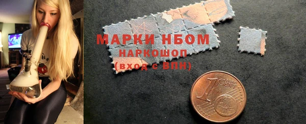 индика Богородск