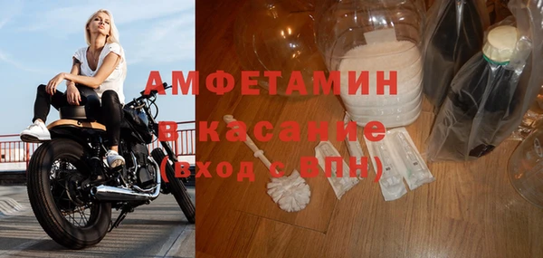 индика Богородск